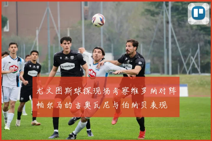 尤文图斯球探现场考察维罗纳对阵帕尔马的吉奥瓦尼与伯纳贝表现