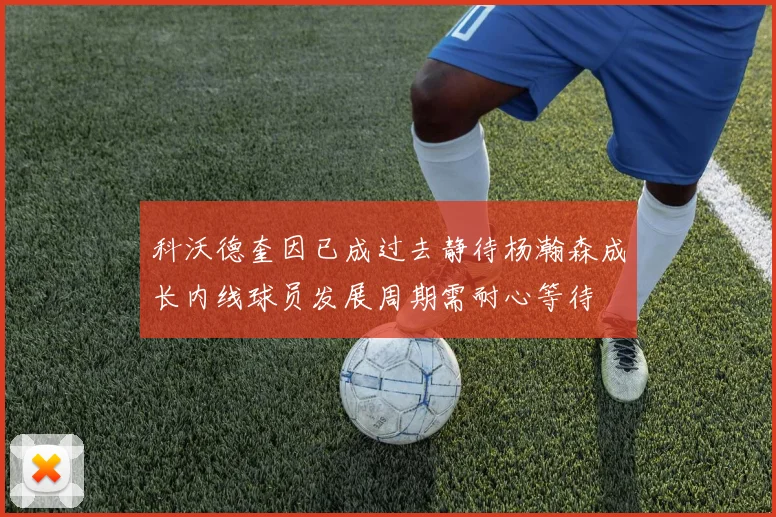 科沃德奎因已成过去静待杨瀚森成长内线球员发展周期需耐心等待