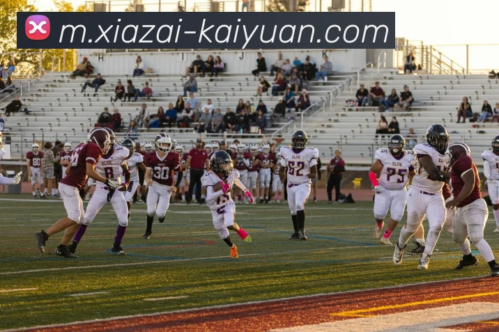 多媒体互动体验